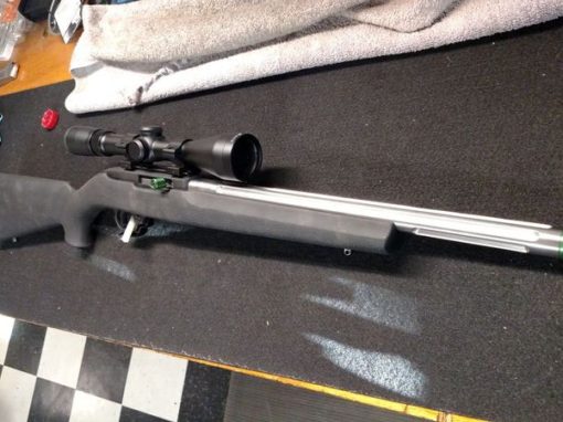 10/22 Custom Build